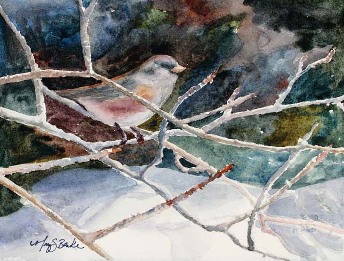 Watercolor painting of a junco songbird sitting on tree branches with a colorful background in the snow by Mary Benke