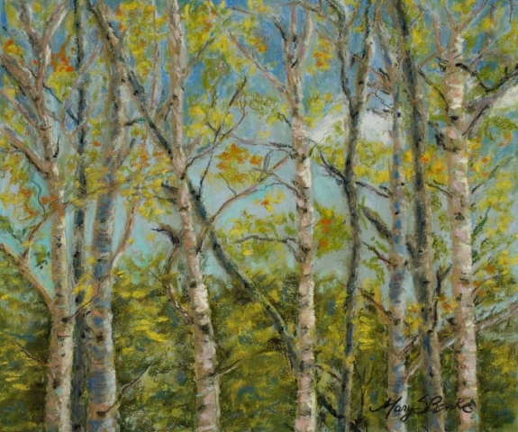 Landscape pastel painting of aspen trees in fall by Mary Benke