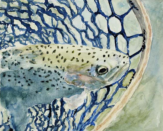 A rainbow trout lingers in an intricate net before being released back into the river in this watercolor painting by Mary Benke