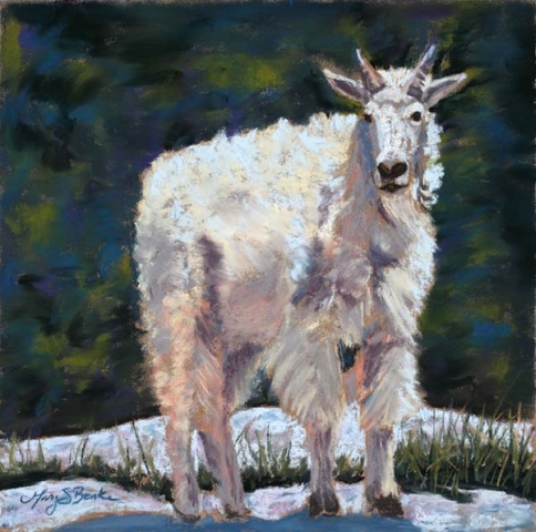 A lone mountain goat/Dall's sheep stands on a rock against an abstract teal and green background in a pastel animal painting by Mary Benke