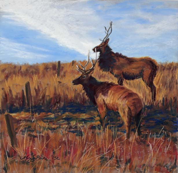 A pastel painting of a pair of bull elk in golden grasslands with a blue sky by Mary Benke