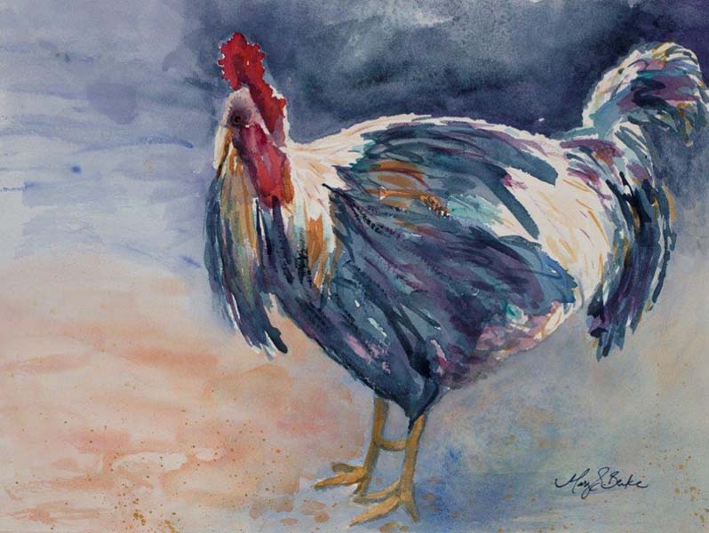 Strutting about the barnyard, this lone rooster proudly displays his indigo, turquoise, and gold plumage in this textured, bright watercolor by Mary Benke by Mary Benke