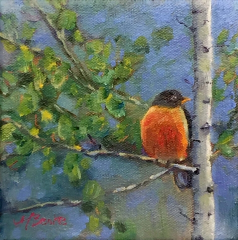 A harbinger of spring, a plump robin sits on an aspen tree branch in a square format oil painting by Mary Benke