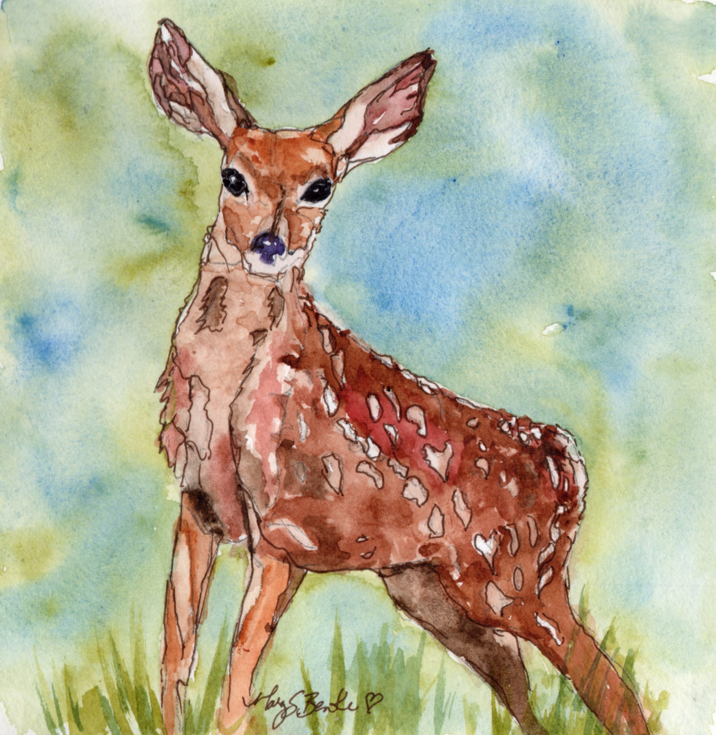 A curious, fawn painted in soft watercolors of reds, browns, and greens watches the viewer with interest by Mary Benke.