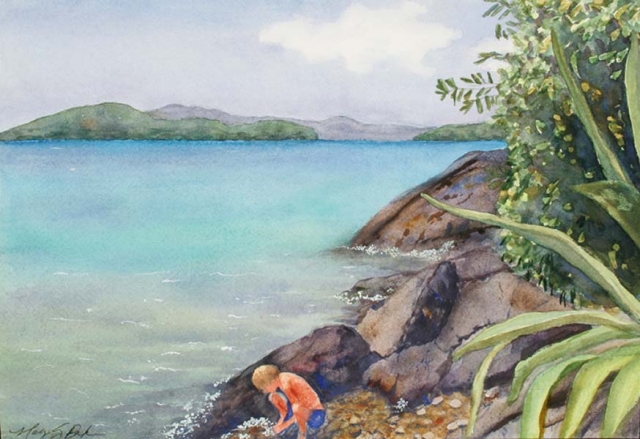 A young boy is fascinated with tidepools and marine life in a beautiful snorkeling spot with turquoise water at Waterlemon Cay on St. John in the U.S. Virgin Islands by Mary Benke