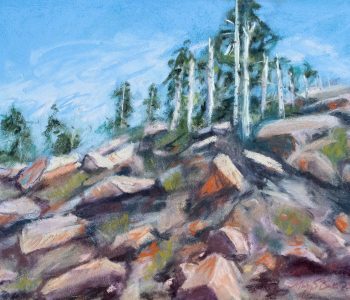 A dramatic view from Trail Ridge Road in Colorado's Rocky Mountain National Park highlights the rocks and pines seen looking up toward the peak on a windy day. Pastel painting by Mary Benke