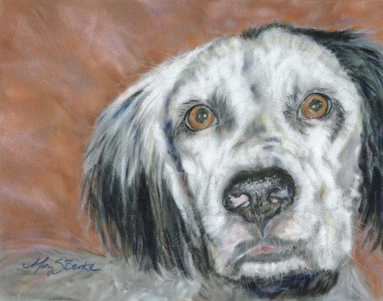 Closeup of a handsome English Setter dog in a pastel painting by Mary Benke