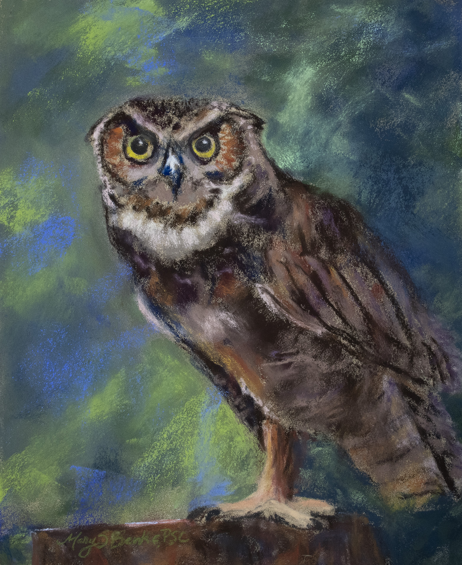 Pastel painting of a great horned owl in the woods by Mary Benke