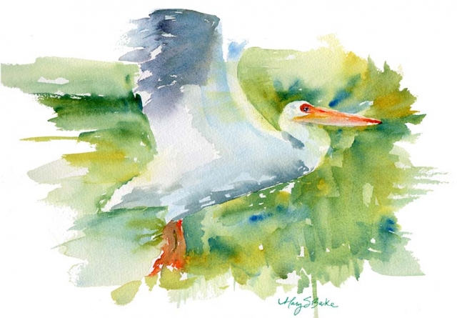 A pelican soars in in this brightly colored fluid watercolor painting by Mary Benke