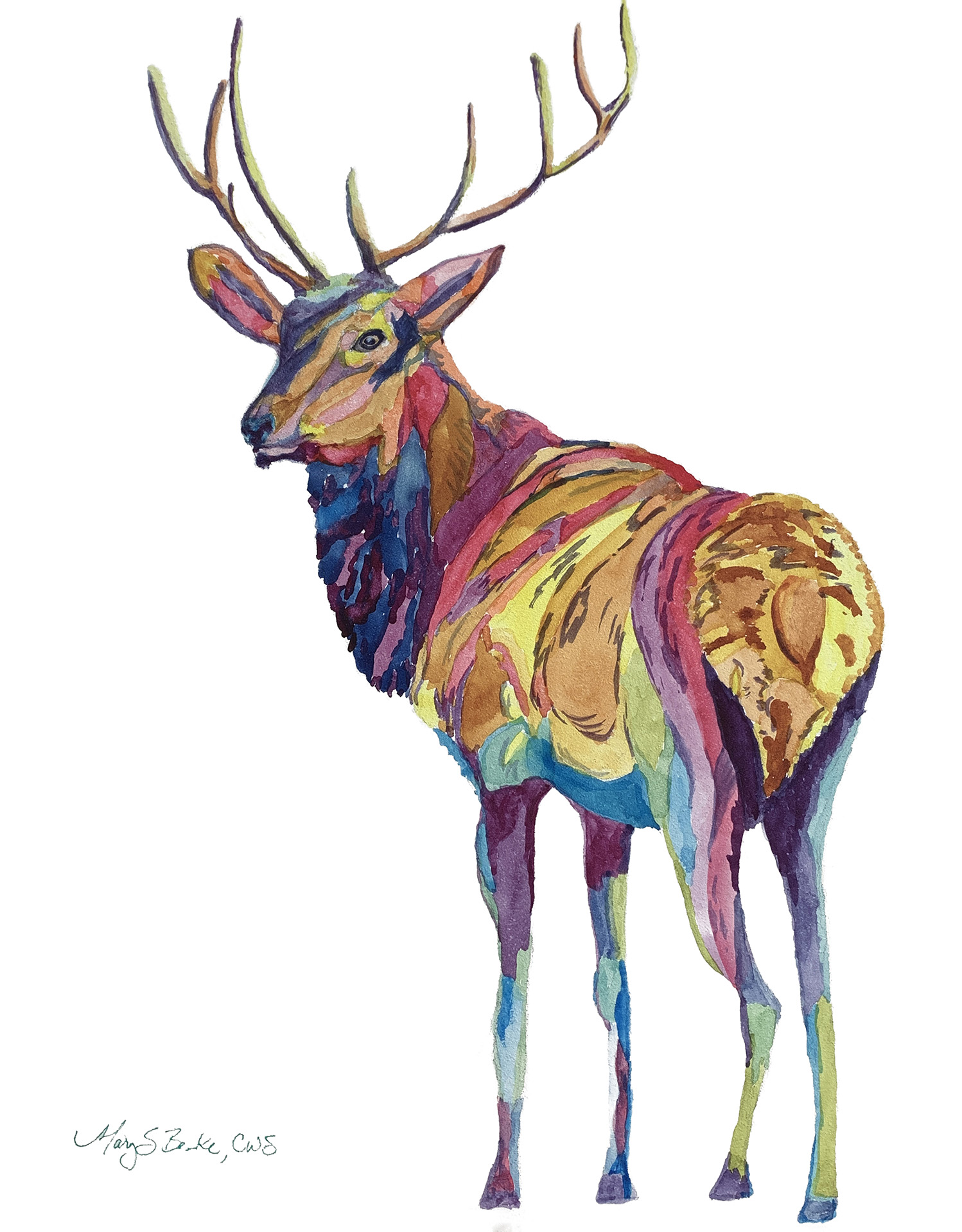 Painted in a fun, colorful style, this watercolor elk's rainbow-colored hide and face stand out against a stark white background by Mary Benke
