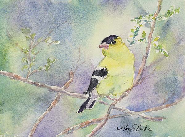 A delicate watercolor painting depicts a lone goldfinch resting on branches against a pastel-colored background by Mary Benke by Mary Benke