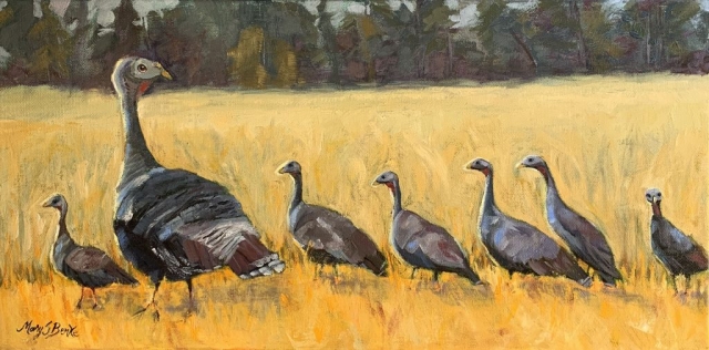 A charming oil painting of a family of wild turkeys done in this horizontal piece in golds, browns, and greens. Mom is watching out for predators as the young ones strut along. The smallest turkey, last in line, looks at the viewer with a surprised expression by Mary Benke