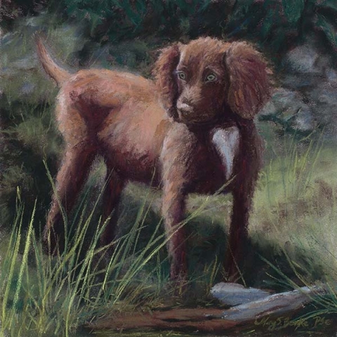 Pet dog pastel portrait of an adorable young brown English cocker spaniel in a forest setting by Mary Benke