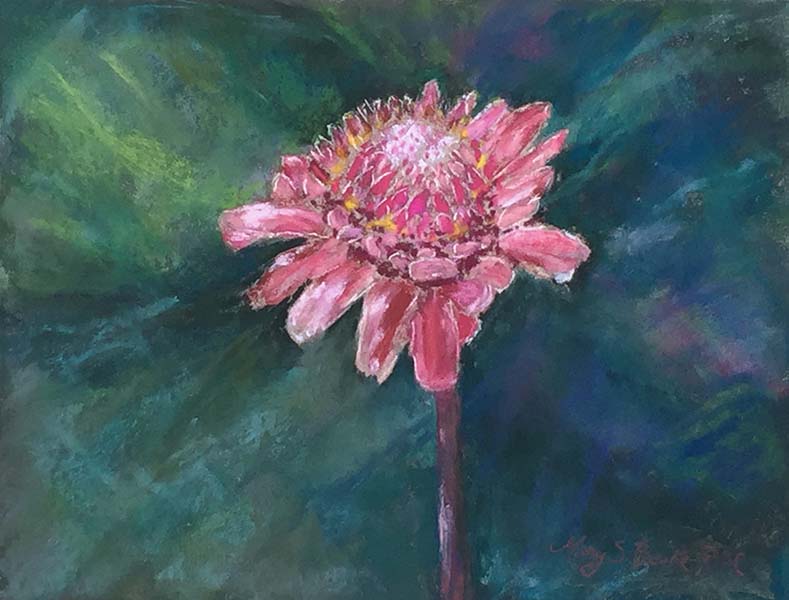 Torch-Ginger-floral-pastel-painting-marybenke