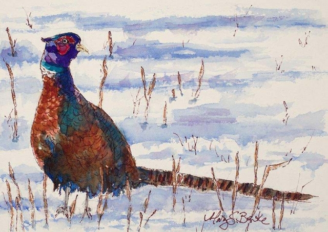 A bold watercolor painting of a fun pheasant posing in the snow by Mary Benke
