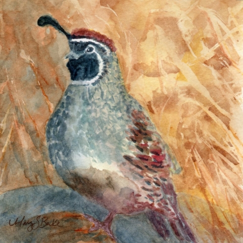 A Gambel's quail is painted in delicate watercolors set against an earth-colored abstract background by Mary Benke